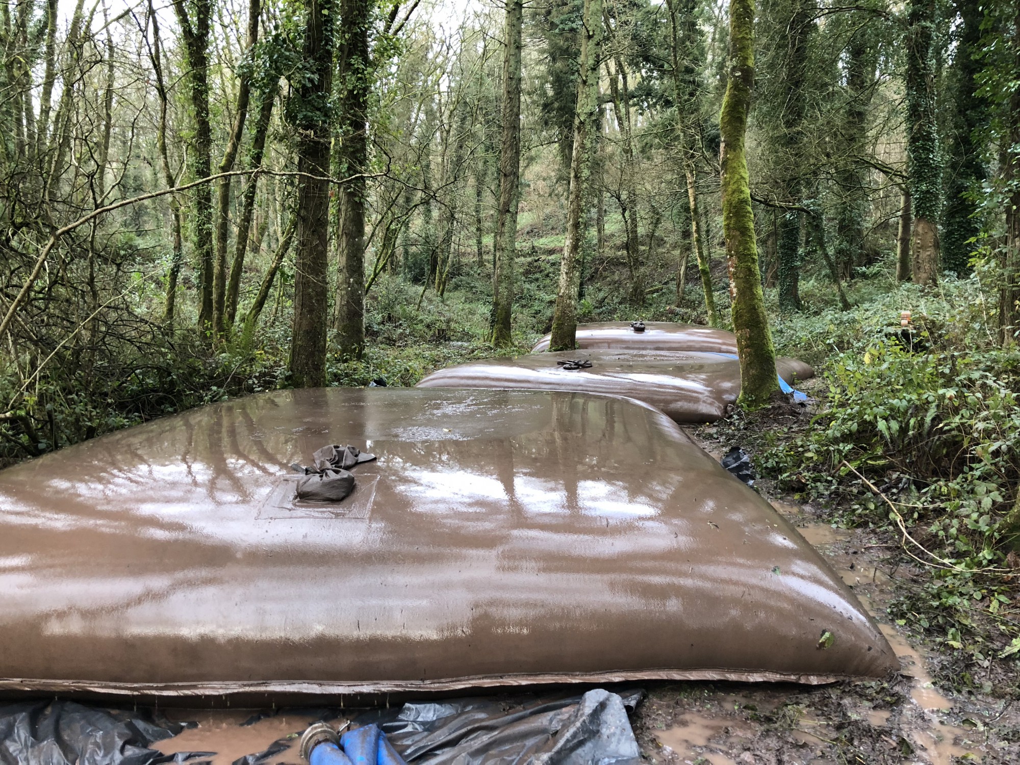 aquatic weed cutting